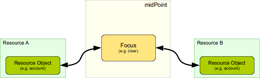 focus projection 1