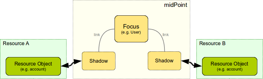 focus projection 2