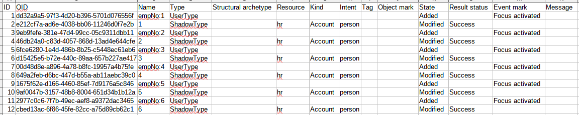 Example report