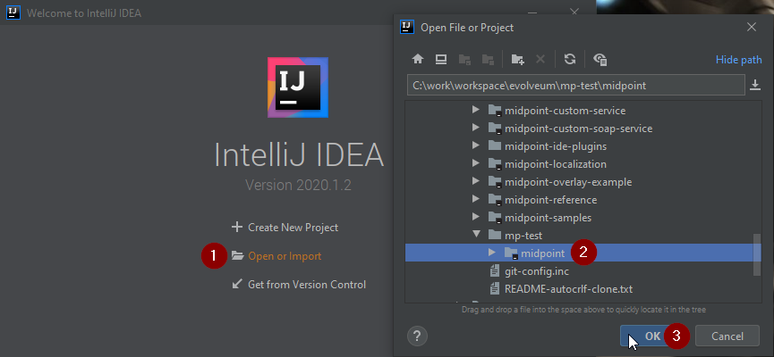 intellij license